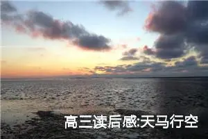 高三读后感:天马行空式的海阔天空