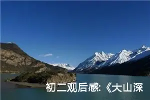 初二观后感:《大山深处的保尔》观后感