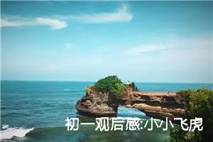 初一观后感:小小飞虎队观后感（三）