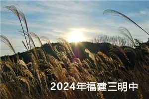 2024年福建三明中考作文题目：探月与看月