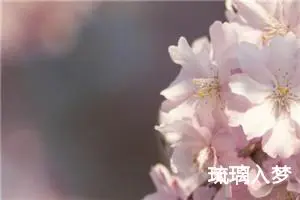 琉璃入梦