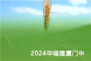 2024年福建厦门中考作文题目：探月与看月