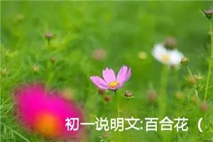 初一说明文:百合花（二）