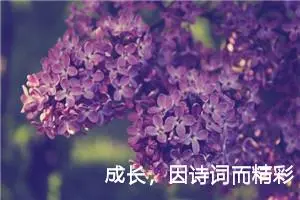 成长，因诗词而精彩