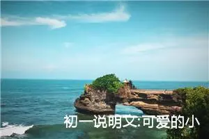 初一说明文:可爱的小狗