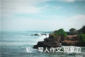 初一写人作文:我家的小小男子汉