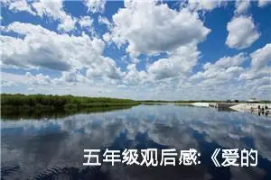 五年级观后感:《爱的教育》