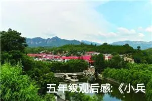 五年级观后感:《小兵张嘎》观后感七