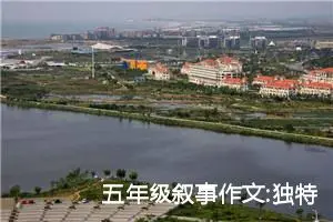 五年级叙事作文:独特的风景