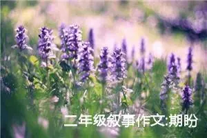 二年级叙事作文:期盼新年