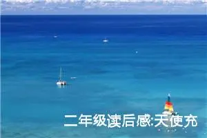 二年级读后感:天使充满爱-读《小天使海蒂》有感（二）