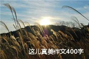 这儿真美作文400字左右三年级（精选10篇）