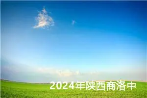 2024年陕西商洛中考作文题目已公布