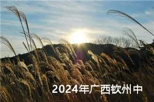 2024年广西钦州中考作文题目已公布