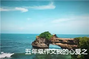 五年级作文我的心爱之物（通用10篇）