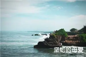 坚韧的母爱