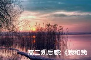 高二观后感:《我和我的父辈》观后感十四