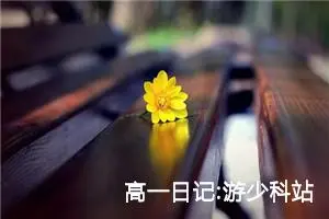 高一日记:游少科站