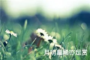 月明星稀亦足赏