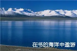 在书的海洋中遨游