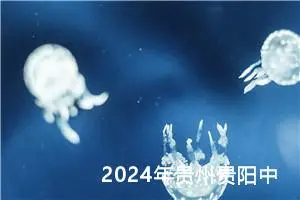 2024年贵州贵阳中考作文题目公布