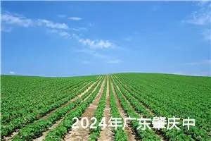 2024年广东肇庆中考作文题目已公布