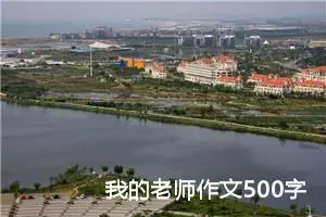 我的老师作文500字