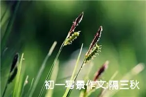 初一写景作文:隔三秋