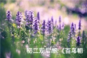 初二观后感:《百鸟朝凤》观后感