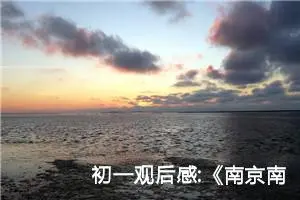 初一观后感:《南京南京》观后感十