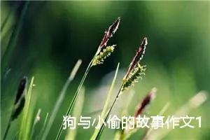 狗与小偷的故事作文1500字