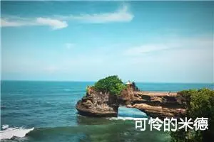 可怜的米德