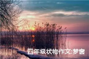 四年级状物作文:梦窗花