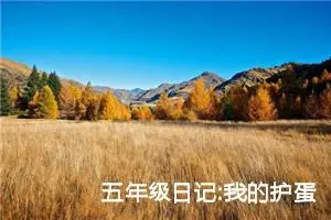 五年级日记:我的护蛋日记