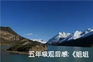 五年级观后感:《姐姐的守护者》的观后感（二）