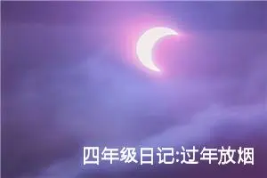 四年级日记:过年放烟花（五）