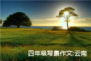 四年级写景作文:云南洱海