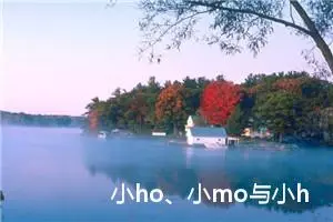 小ho、小mo与小hmn的故事（二）