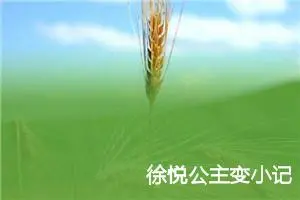 徐悦公主变小记