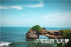 小毛虫的飞天梦