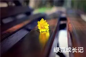 绿豆成长记