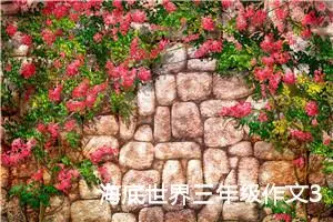 海底世界三年级作文350字左右（精选10篇）