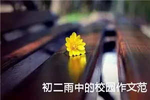 初二雨中的校园作文范文10篇