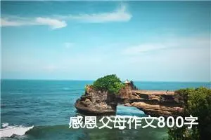 感恩父母作文800字高中（精选10篇）