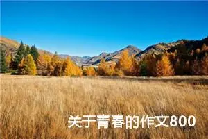 关于青春的作文800字高中（精选10篇）