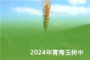 2024年青海玉树中考作文题目已公布