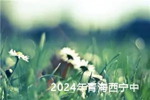 2024年青海西宁中考作文题目已公布