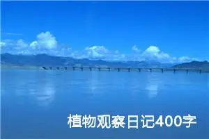 植物观察日记400字四年级（精选10篇）