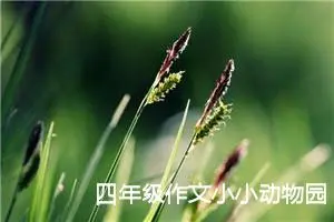 四年级作文小小动物园400字（通用12篇）