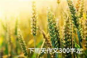 下雨天作文300字左右三年级（精选10篇）